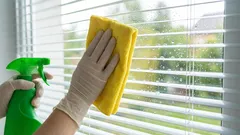 Czym przetrzeć szyby, żeby nie trzeba było ich myć po każdym deszczu: metoda z wykorzystaniem środków, które mamy pod ręką