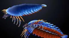 Skamielina znaleziona w stanie Utah przesuwa datę pojawienia się chelicerów – kłów charakterystycznych dla pająków i skorpionów – o 20 milionów lat wstecz.