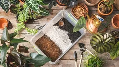 Idealna gleba dla tradeskancji: kompletny przewodnik po wyborze i przygotowaniu