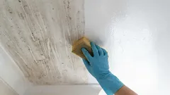 Sąsiadka zdradziła sekret idealnie czystych sufitów napinanych: prosty sposób bez smug